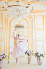 Beautiful ballerina in pink clothes poses in a luxury room