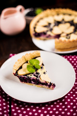 A piece of blueberry pie
