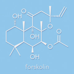 Forskolin (coleonol) molecule. Activates the enzyme adenylyl cyclase, resulting in increased levels of cAMP. Skeletal formula.