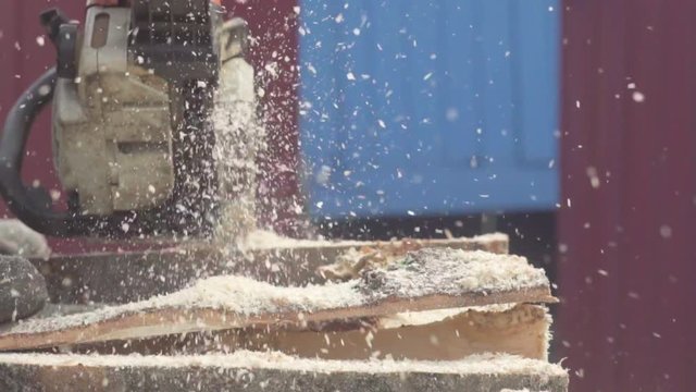 chainsaw saws wood