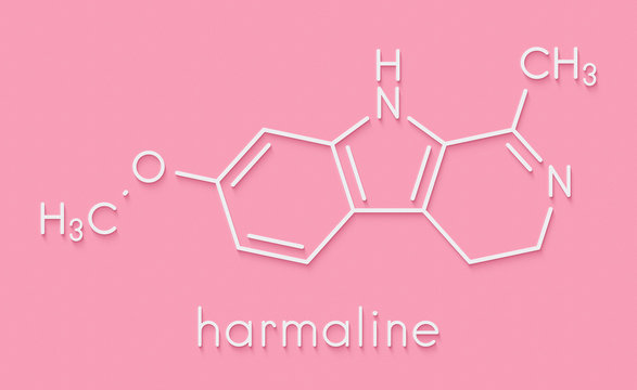 Harmaline indole alkaloid molecule. Found in Syrian rue (Peganum harmala). Skeletal formula.
