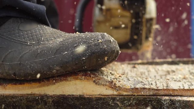 chainsaw saws wood