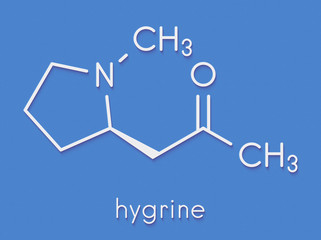 Hygrine coca alkaloid molecule. Skeletal formula.