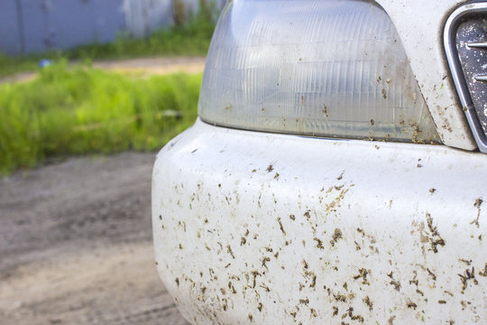 Crashed insect on car bumper. Crush the mosquitoes and gnats at the front of the vehicle
