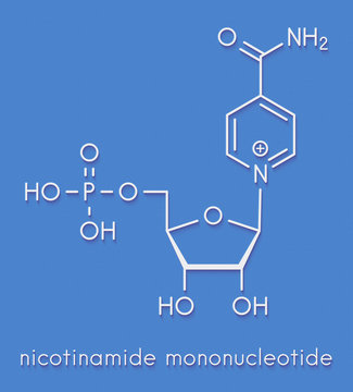 Nicotinamide mononucleotide molecule. Precursor of NAD+. Skeletal formula.