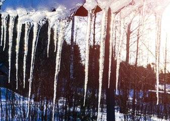 Beautiful icicles shine in sun against blue sky. spring landscape with ice icicles hanging from roof of house. Spring drops icicles dripping. Melting snow icicles on roof.