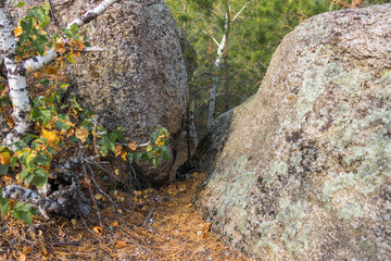 Borovoe, Burabay, spruce, mountains, rocks