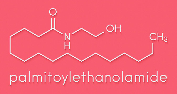 Palmitoylethanolamide (PEA) drug molecule. Skeletal formula.