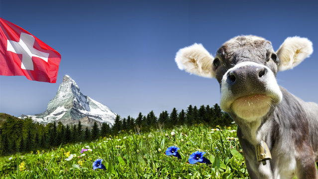 Matterhorn mit Kuh und Schweizer Flagge