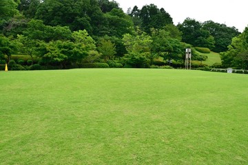 芝生