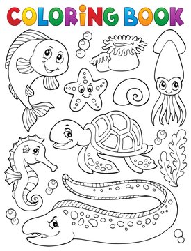 Coloring book sea life collection 1