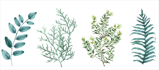 Elegant tropical leaves