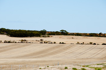Obraz premium Harvested Wheat Fields - Australia