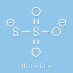 Thiosulfate anion, chemical structure. Skeletal formula.