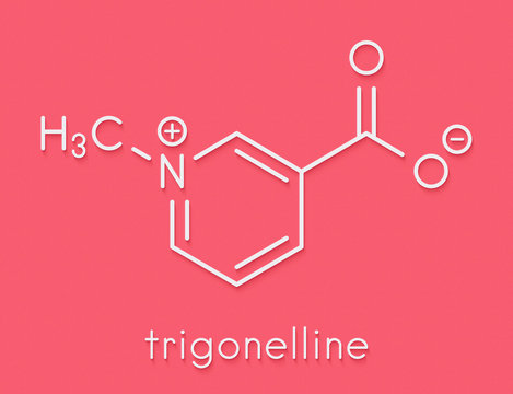 Trigonelline molecule. Metabolite of niacin (vitamin B3) but also found in a number of plants, including fenugreek. Skeletal formula.