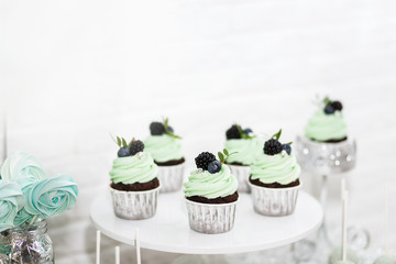 Delicious cakes with beautiful green cream and berries for Christmas