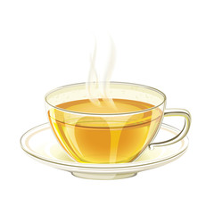 Cup of tea vector illustration isolated on white background. Realistic mug and tea.
