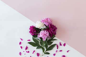 FLower frame with fresh branches of peony on pastel fashion background, flat lay and top view with copy space