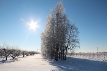 Belarus nature