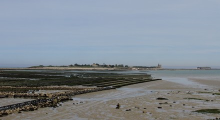 parcs à huîtres à Saint-Vaast-la-Hougue devant l'île de Tatihou,Normandie,Cotentin,Manche