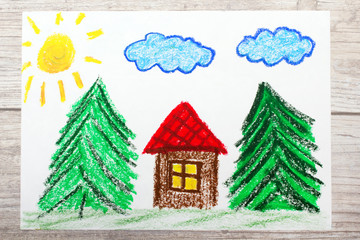 Obraz na płótnie Canvas Photo of colorful drawing: small house surrounded by coniferous trees. House with red roof in forest.