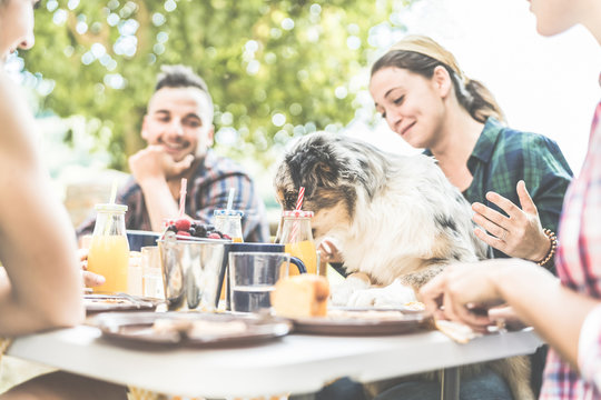 Happy friends doing breakfast brunch meal in nature with home pet