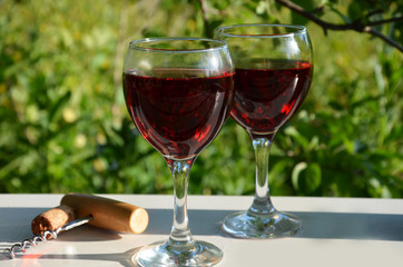 Red wine being poured into wineglass on background of green growing grape.