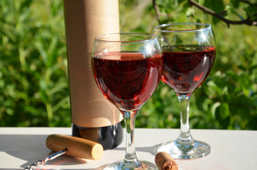 Red wine being poured into wineglass on background of green growing grape.