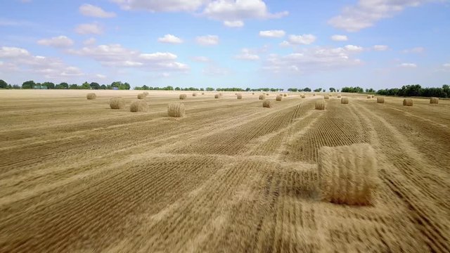 A stack of hay on the summer field. Agricultural landscape at the summer time during harvesting