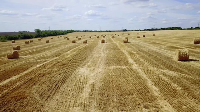 A stack of hay on the summer field. Agricultural landscape at the summer time during harvesting