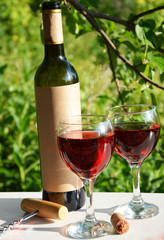Red wine being poured into wineglass on background of green growing grape.