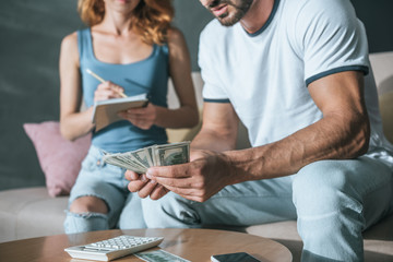 cropped image of couple planning family budget and counting money in living room