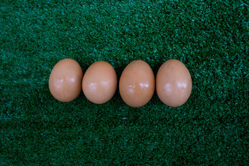 Egg on the green grass