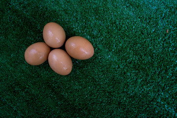 Egg on the green grass