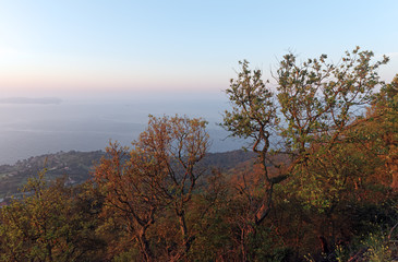 Massif de la colle noire sur la côte varoise