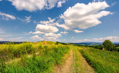beautiful rural landscape in mountains. lovely summer scenery. road through agricultural field under the blue sky with fluffy clouds