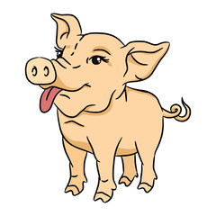 Funny cartoon pig. Isolated vector 2D illustration