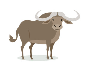 African Buffalo Cartoon Icon in Flat Design