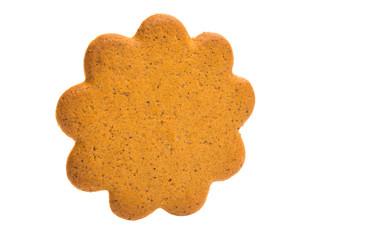 gingerbread isolated