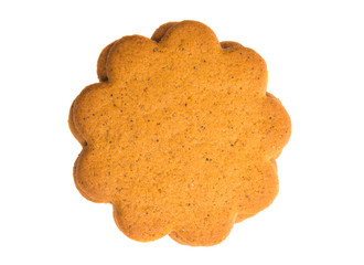 gingerbread isolated