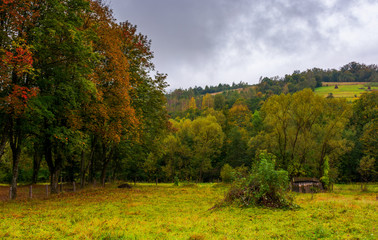 abandoned garden in autumn hazy weather. hill with haystacks on rural field in the distance