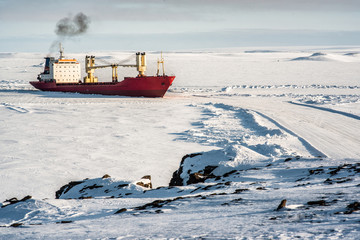 Cargo ships on the background of the landscapes of the Arctic, the polar day.