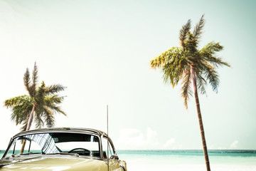 summer car and background with two palms. 