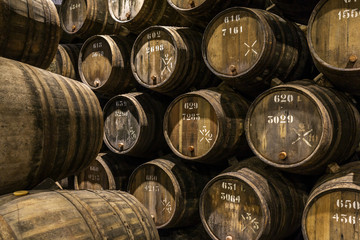Row of wooden porto wine barrels in wine cellar Porto, Portugal. - obrazy, fototapety, plakaty