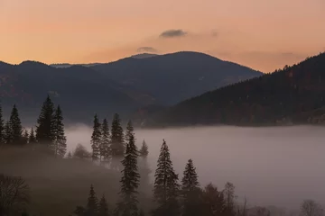 Papier Peint photo Forêt dans le brouillard Sunrise autumn landscape in the Carpathian mountains, Ukraine