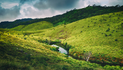 Obraz premium The Horton Plains. Beautiful landscape. Sri lanka panorama