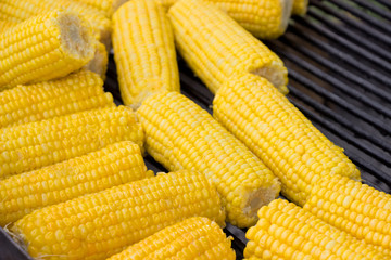 Delicious sweet  corn cobs on pan