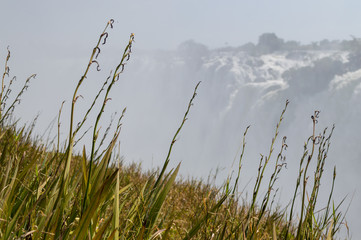 Victoria Falls Seen from the Zambian Side