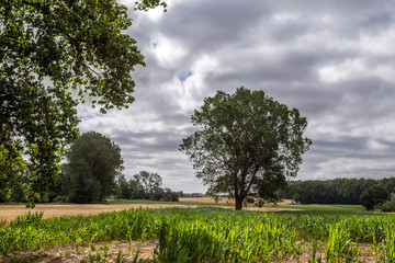 Fototapeta premium Parkentin