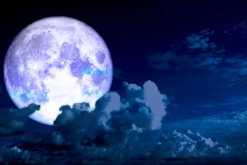 Printed roller blinds Full moon and trees full cold moon back silhouette cloud in night sky